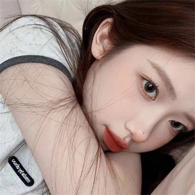 翱翔于天际的夜鹰